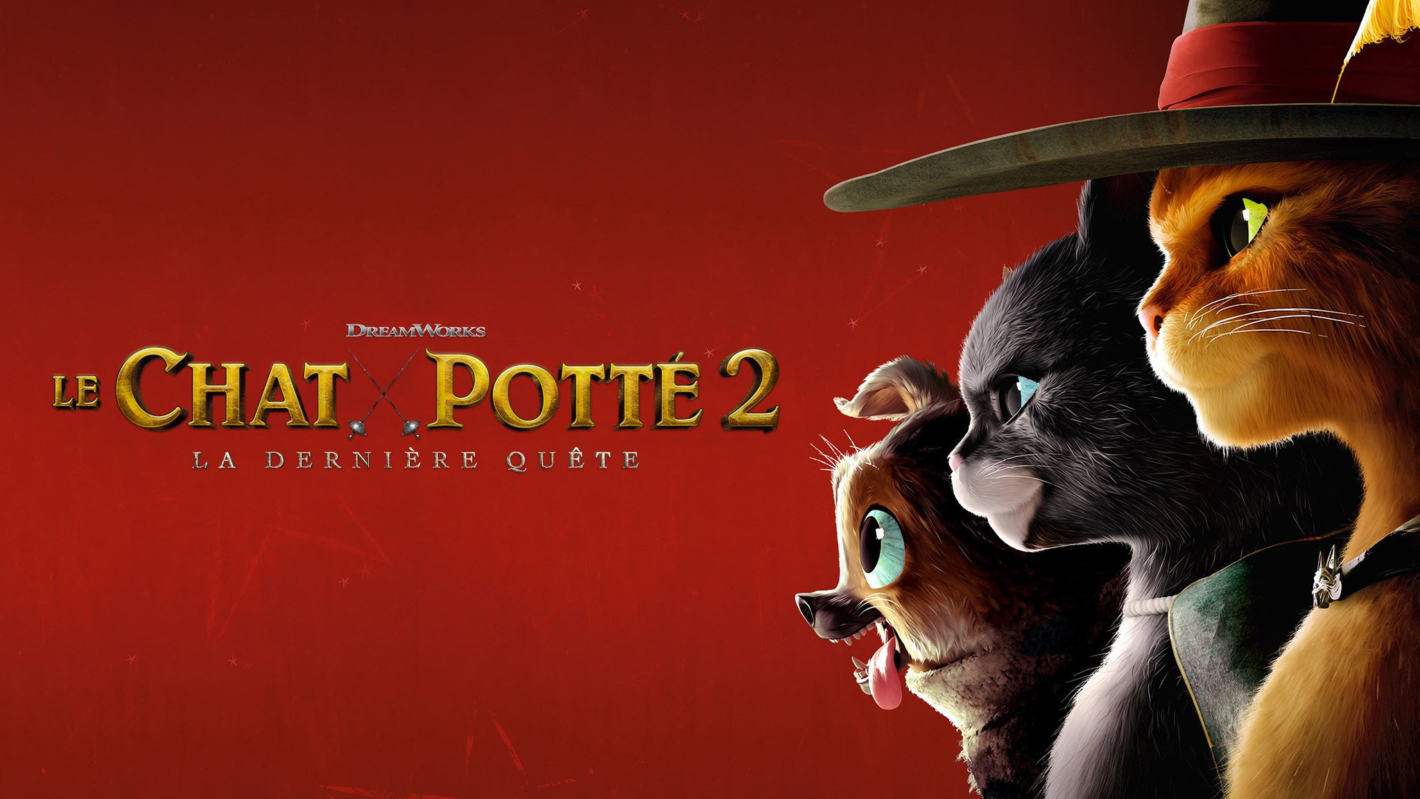 Current background for Le Chat Potté 2 : la dernière quête