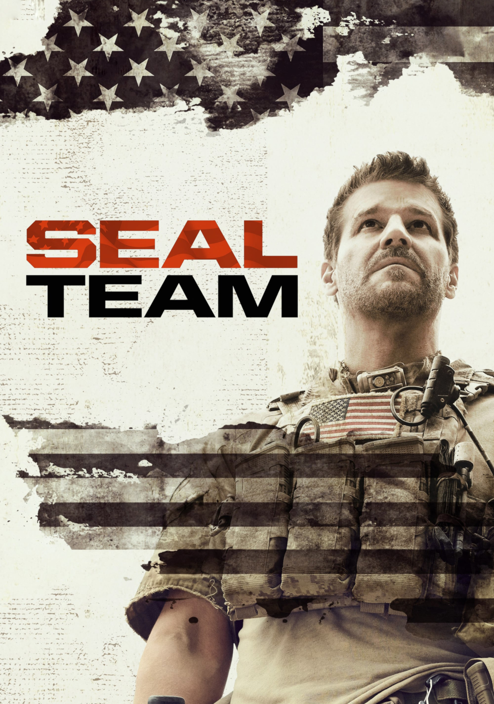 Current poster for SEAL Team
